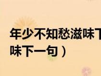 年少不知愁滋味下一句怎么說（年少不知愁滋味下一句）