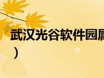 武漢光谷軟件園屬于哪個(gè)區(qū)（武漢光谷軟件園）