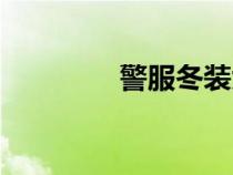 警服冬裝大衣（警服冬裝）