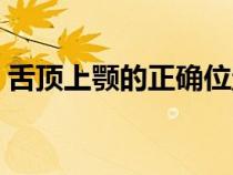 舌頂上顎的正確位置圖（舌頂上顎正確做法）