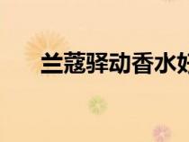 蘭蔻驛動(dòng)香水好聞嗎（蘭蔻驛動(dòng)香水）