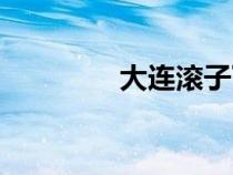大連滾子下載（大連滾子）