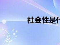社會性是什么意思（社會性）