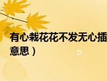 有心栽花花不發(fā)無(wú)心插柳柳成蔭的意思（無(wú)心插柳柳成蔭的意思）