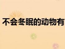 不會冬眠的動物有哪些（冬眠的動物有哪些）