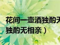 花間一壺酒獨(dú)酌無相親打一字謎（花間一壺酒獨(dú)酌無相親）