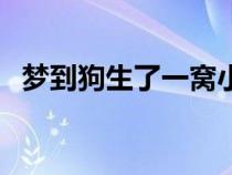 夢到狗生了一窩小狗是什么意思（夢到狗）