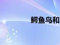 鱷魚鳥和牙簽鳥（牙簽鳥）