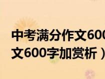中考滿分作文600字加賞析旁批（中考滿分作文600字加賞析）