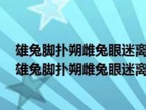 雄兔腳撲朔雌兔眼迷離雙兔傍地走安能辨我是雄雌的意思（雄兔腳撲朔雌兔眼迷離雙兔傍地走安能辨我是雄雌）