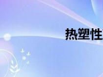 熱塑性塑料（熱塑性）