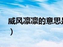 威風(fēng)凜凜的意思是?（威風(fēng)凜凜的意思是什么）