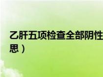 乙肝五項(xiàng)檢查全部陰性是什么意思（乙肝五項(xiàng)全陰是什么意思）