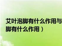 艾葉泡腳有什么作用與功效禁忌腦供血不足能泡嗎（艾葉泡腳有什么作用）