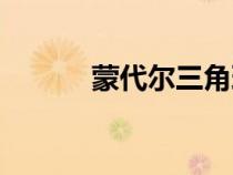 蒙代爾三角理論（蒙代爾三角）