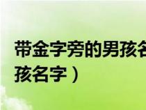 帶金字旁的男孩名字缺金的字(帶金字旁的男孩名字) 帶金字旁的男孩名字缺金的字(帶金字旁的男孩名字)