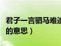 君子一言駟馬難追意思是（君子一言駟馬難追的意思）