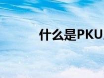 什么是PKU患兒（什么是PKU）