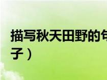 描寫秋天田野的句子景色（描寫秋天田野的句子）