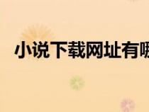 小說下載網(wǎng)址有哪些（小說下載網(wǎng)站推薦）