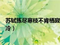 蘇軾揀盡寒枝不肯棲寂寞沙洲冷（揀盡寒枝不肯棲寂寞沙洲冷）
