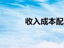 收入成本配比原則（配比原則）