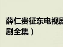 薛仁貴征東電視劇全集播放（薛仁貴征西電視劇全集）