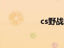 cs野戰(zhàn)游戲（cs野戰(zhàn)）