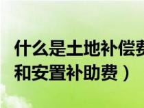 什么是土地補償費和安置補助費（土地補償費和安置補助費）