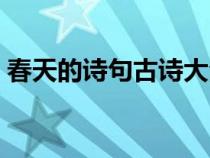 春天的詩句古詩大全（關(guān)于春天的古詩大全）