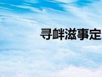 尋釁滋事定罪標準（尋釁滋事）