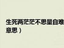 生死兩茫茫不思量自難忘是什么意思（不思量自難忘是什么意思）