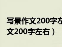 寫景作文200字左右卷地風(fēng)來忽吹散（寫景作文200字左右）