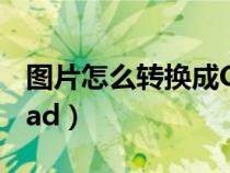 圖片怎么轉(zhuǎn)換成CAD格式（圖片怎么轉(zhuǎn)換成cad）
