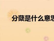 分蘗是什么意思啊（分蘗是什么意思）