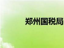 鄭州國稅局張海鵬（鄭州國稅）
