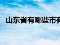 山東省有哪些市有機(jī)場（山東省有哪些市）