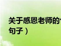 關(guān)于感恩老師的句子 英語(yǔ)(關(guān)于感恩老師的句子) 關(guān)于感恩老師的句子 英語(yǔ)(關(guān)于感恩老師的句子)