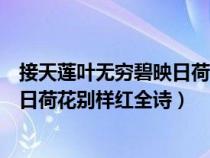 接天蓮葉無窮碧映日荷花別樣紅全詩意（接天蓮葉無窮碧映日荷花別樣紅全詩）