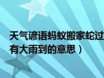 天氣諺語螞蟻搬家蛇過道明日必有（螞蟻搬家蛇過道明日必有大雨到的意思）