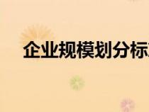 企業(yè)規(guī)模劃分標(biāo)準(zhǔn)（企業(yè)規(guī)模怎么查詢）