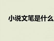 小說文筆是什么意思（文筆是什么意思）