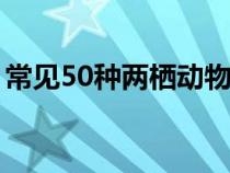 常見(jiàn)50種兩棲動(dòng)物(常見(jiàn)的兩棲動(dòng)物有哪些) 常見(jiàn)50種兩棲動(dòng)物(常見(jiàn)的兩棲動(dòng)物有哪些)