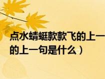 點(diǎn)水蜻蜓款款飛的上一句是什么作者是誰（點(diǎn)水蜻蜓款款飛的上一句是什么）