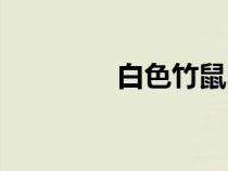 白色竹鼠圖片（竹鼠圖片）