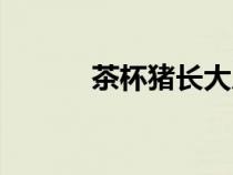 茶杯豬長大后的圖片（茶杯豬）