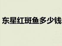 東星紅斑魚多少錢一斤（紅斑魚多少錢一斤）