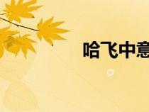 哈飛中意V5（哈飛中意）