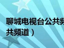 聊城電視臺公共頻道在線直播（聊城電視臺公共頻道）