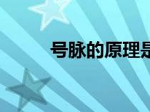 號脈的原理是什么（號脈的原理）